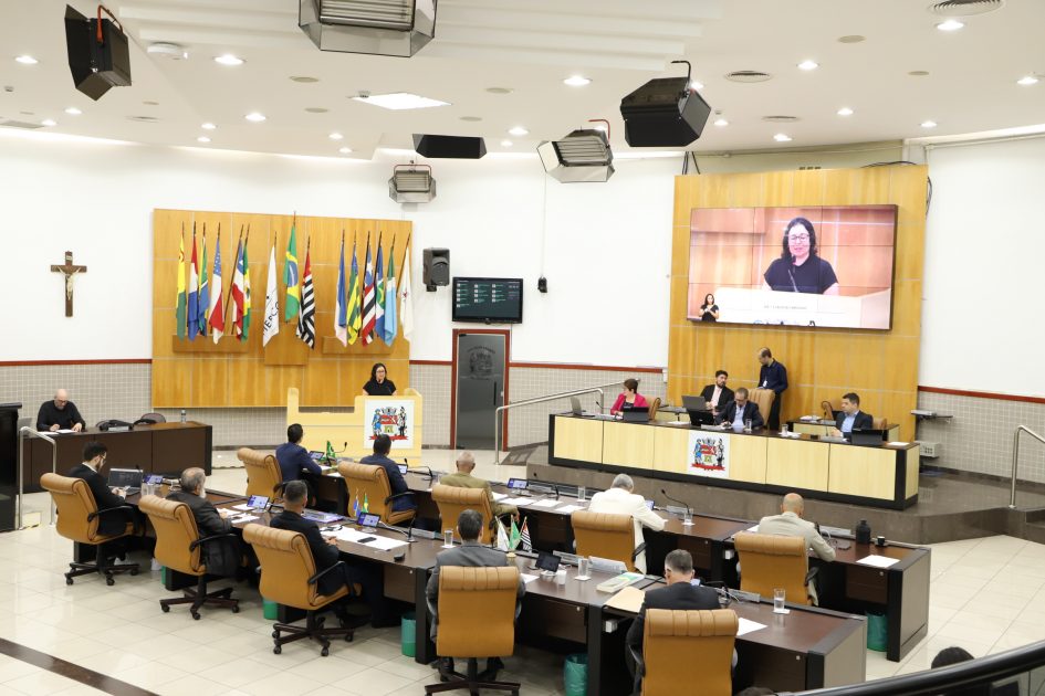 Câmara aprova direito de escolha à família sobre modo de sepultamento de natimorto