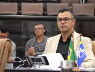 Siufarne alerta Prefeitura para supressão de árvore na Rua Barão de Jacareí