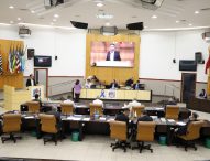 Câmara Municipal aprova regras para funcionamento de abrigos de cães e gatos