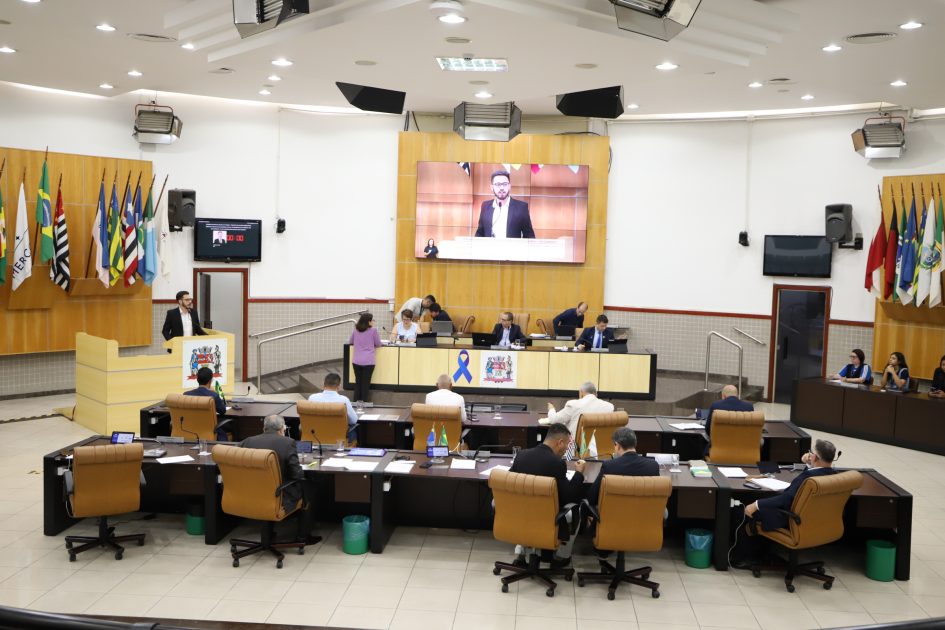 Câmara Municipal aprova regras para funcionamento de abrigos de cães e gatos