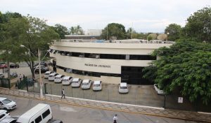 Câmara Municipal discute dois projetos voltados à causa animal e outras quatro propostas na quarta-feira (12)