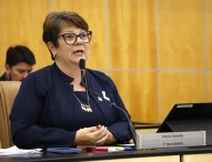 Maria Amélia pede à EDP elevar altura de fios na Avenida Adhemar de Barros