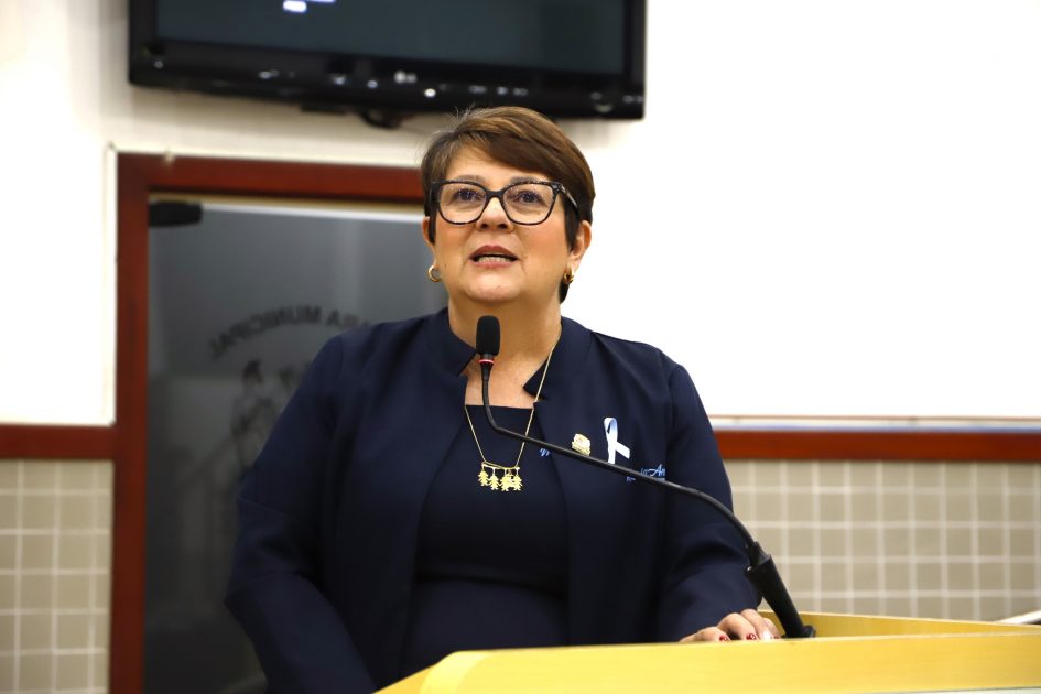 Maria Amélia pede pavimentação e iluminação para estrada municipal