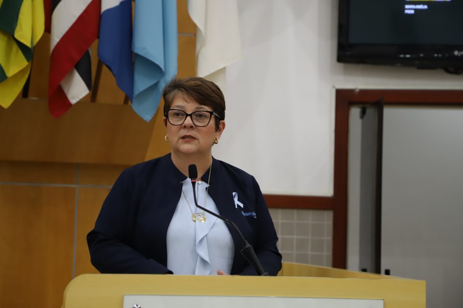 Maria Amélia sugere criação de programa habitacional com aluguel social em Jacareí