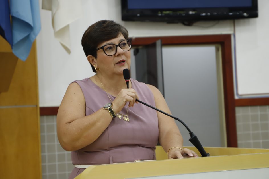 Maria Amélia cobra medidas de segurança viária no Santa Maria e Jd. das Indústrias