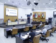 Saúde pública presta contas de 2025 em audiência pública na Câmara Municipal