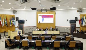 Câmara de Jacareí aprova política de humanização do luto parental e soluções para tratamento de esgoto