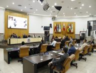 Câmara de Jacareí aprova política de cuidado à saúde mental a gestantes e puérperas