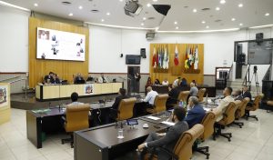 Câmara de Jacareí aprova política de cuidado à saúde mental a gestantes e puérperas