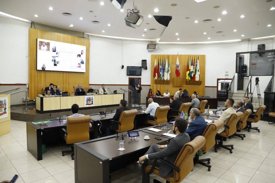 Câmara de Jacareí aprova política de cuidado à saúde mental a gestantes e puérperas