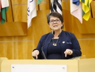 Maria Amélia pede projeto de lei para anistia de débitos para MEI, ME e EPP