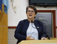 Maria Amélia solicita serviços de zeladoria urbana para a Avenida Adhemar Pereira de Barros