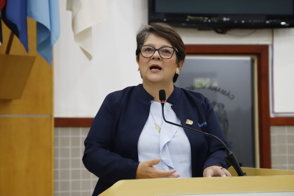 Maria Amélia solicita serviços de zeladoria urbana para a Avenida Adhemar Pereira de Barros
