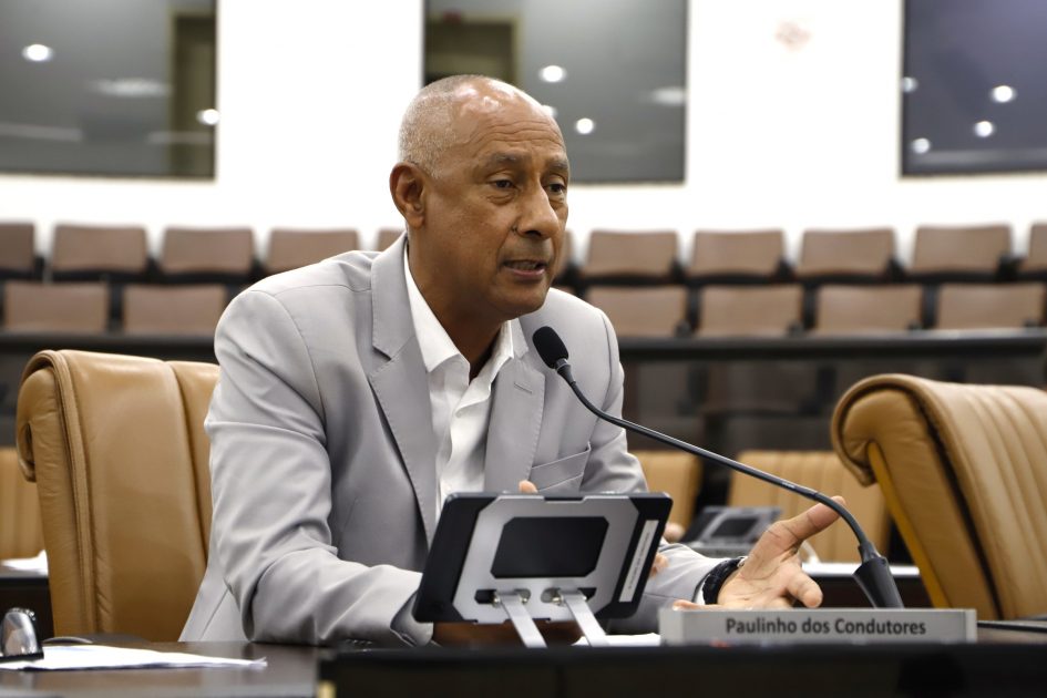 Paulinho dos Condutores pede remoção de árvore na Vila Zezé