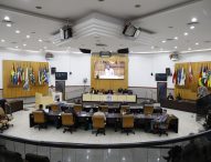 Câmara Municipal aprova obrigatoriedade de informação sobre glúten e lactose em alimentos