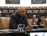 Paulinho dos Condutores pede alerta para a circulação de animais na Rodovia Euryale de Jesus Zerbine