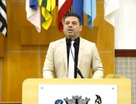 Jean Araújo pede instalação de brinquedos de madeira em área pública do Jardim Pedramar